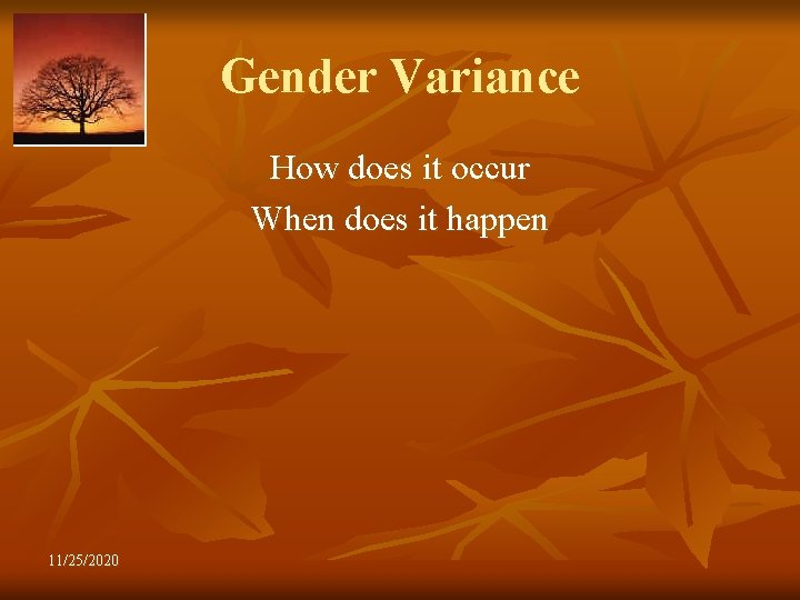 Gender Variance How does it occur When does it happen 11/25/2020 