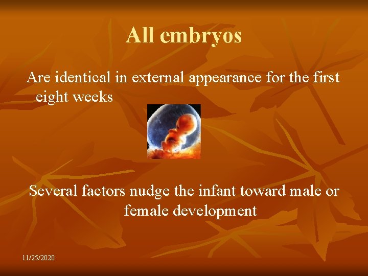 All embryos Are identical in external appearance for the first eight weeks Several factors