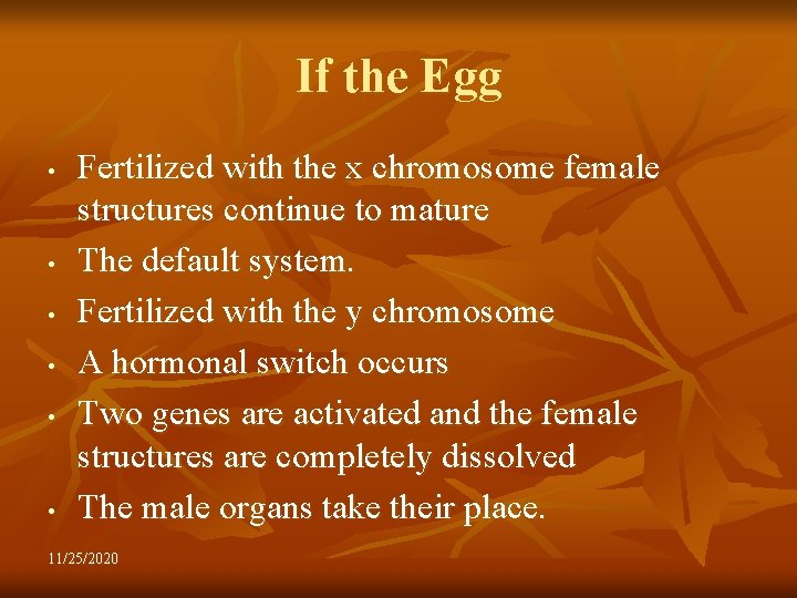 If the Egg • • • Fertilized with the x chromosome female structures continue