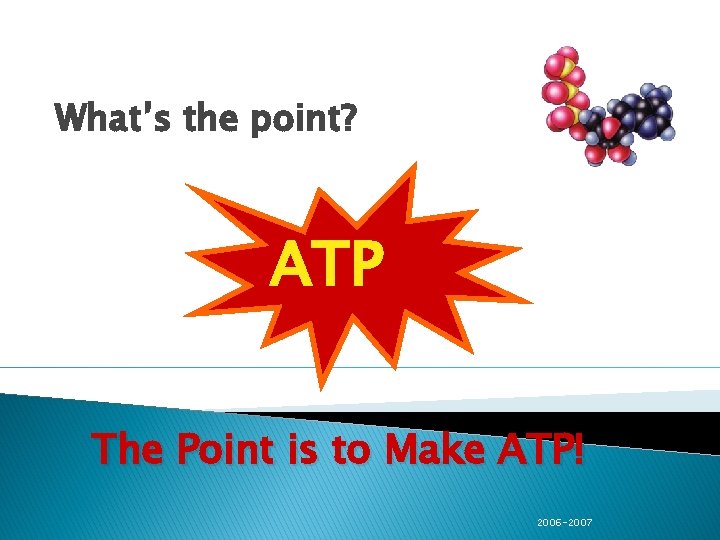 What’s the point? ATP The Point is to Make ATP! 2006 -2007 