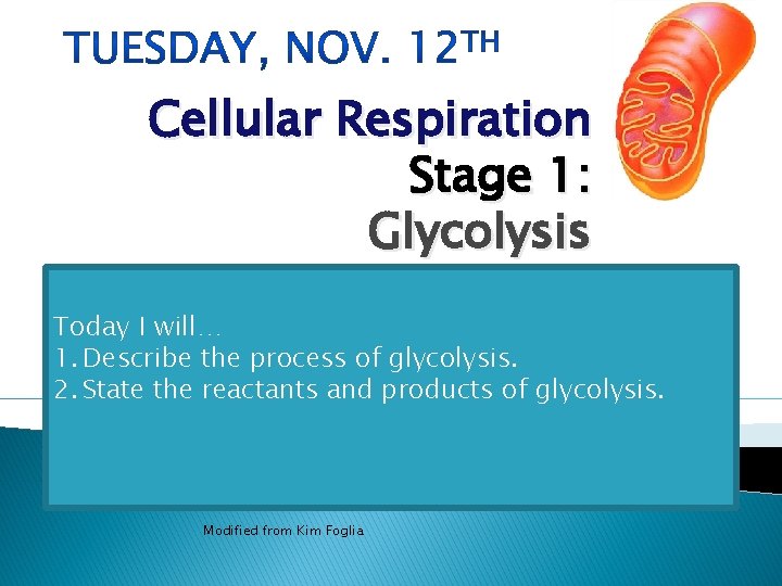 Cellular Respiration Stage 1: Glycolysis Today I will… 1. Describe the process of glycolysis.