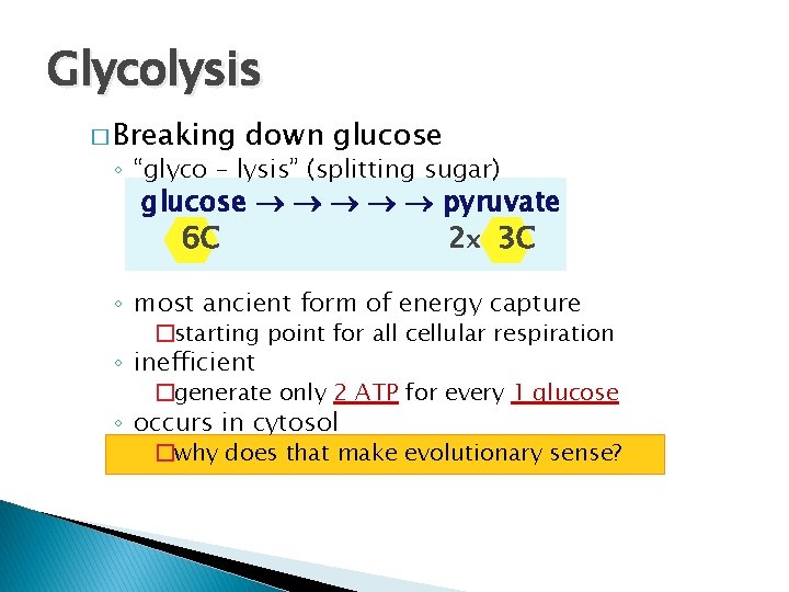 Glycolysis � Breaking down glucose ◦ “glyco – lysis” (splitting sugar) glucose pyruvate 2