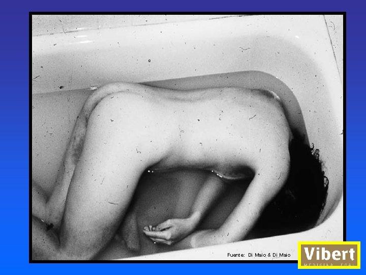 Fuente: Di Maio & Di Maio 