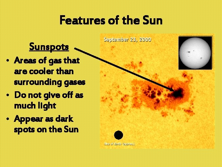 Features of the Sunspots • Areas of gas that are cooler than surrounding gases