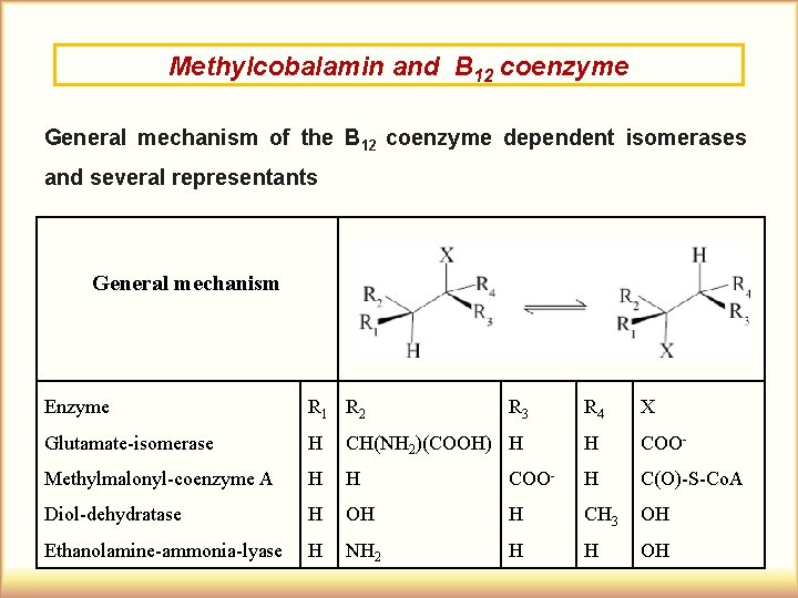 Methylcobalamin and B 12 coenzyme General mechanism of the B 12 coenzyme dependent isomerases