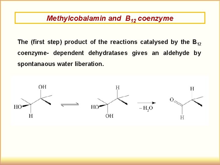 Methylcobalamin and B 12 coenzyme The (first step) product of the reactions catalysed by