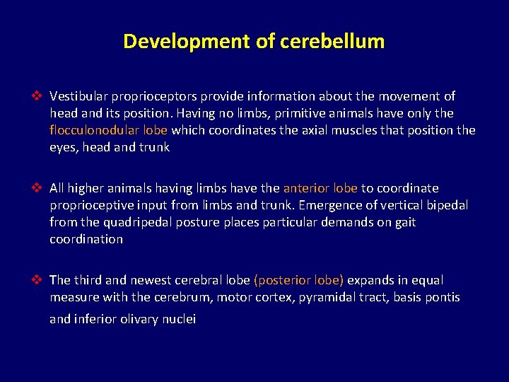 Development of cerebellum v Vestibular proprioceptors provide information about the movement of head and