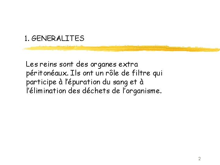 1. GENERALITES Les reins sont des organes extra péritonéaux. Ils ont un rôle de