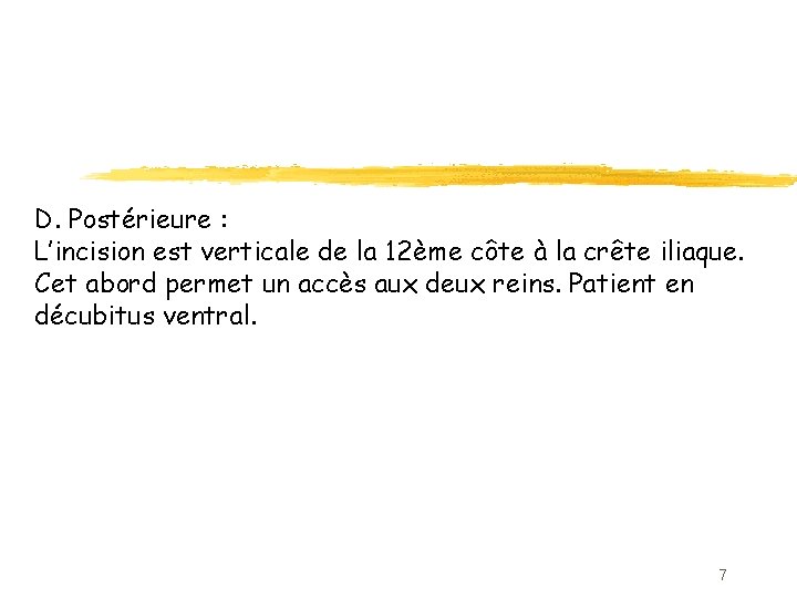 D. Postérieure : L’incision est verticale de la 12ème côte à la crête iliaque.