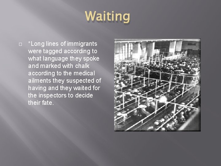 Waiting � *Long lines of immigrants were tagged according to what language they spoke