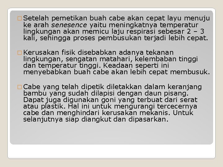 � Setelah pemetikan buah cabe akan cepat layu menuju ke arah senesence yaitu meningkatnya