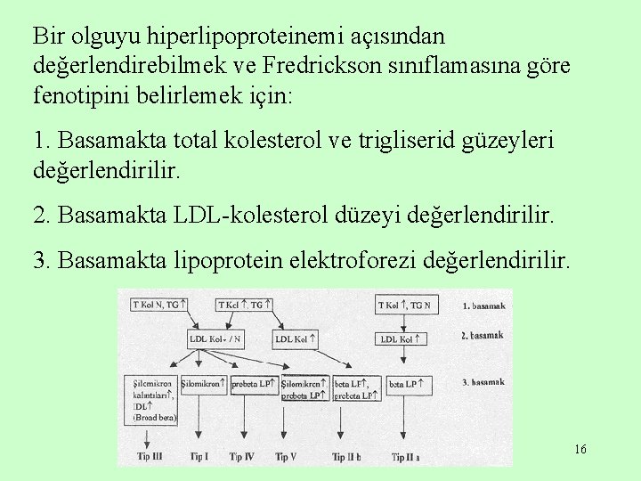 Bir olguyu hiperlipoproteinemi açısından değerlendirebilmek ve Fredrickson sınıflamasına göre fenotipini belirlemek için: 1. Basamakta