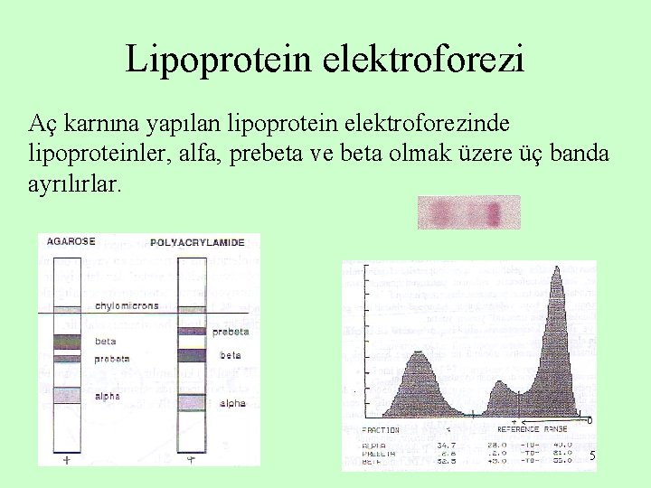 Lipoprotein elektroforezi Aç karnına yapılan lipoprotein elektroforezinde lipoproteinler, alfa, prebeta ve beta olmak üzere