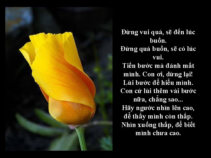 Đừng vui quá, sẽ đến lúc buồn. Đừng quá buồn, sẽ có lúc vui.