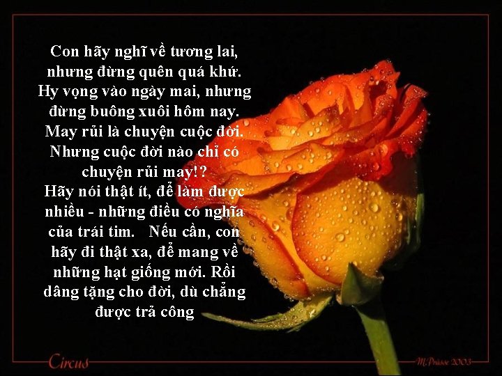 Con hãy nghĩ về tương lai, nhưng đừng quên quá khứ. Hy vọng vào