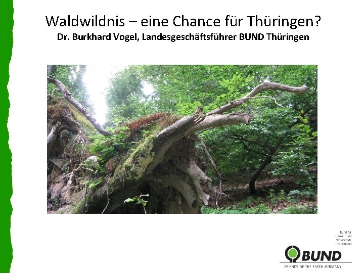 Waldwildnis – eine Chance für Thüringen? Dr. Burkhard Vogel, Landesgeschäftsführer BUND Thüringen 