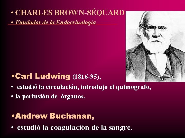 • CHARLES BROWN-SÉQUARD • Fundador de la Endocrinología • Carl Ludwing (1816 -95), • CHARLES BROWN-SÉQUARD • Fundador de la Endocrinología • Carl Ludwing (1816 -95),