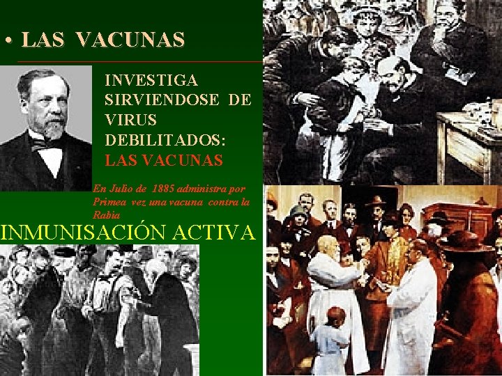 • LAS VACUNAS INVESTIGA SIRVIENDOSE DE VIRUS DEBILITADOS: LAS VACUNAS En Julio de • LAS VACUNAS INVESTIGA SIRVIENDOSE DE VIRUS DEBILITADOS: LAS VACUNAS En Julio de