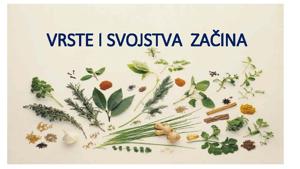 VRSTE I SVOJSTVA ZAČINA 