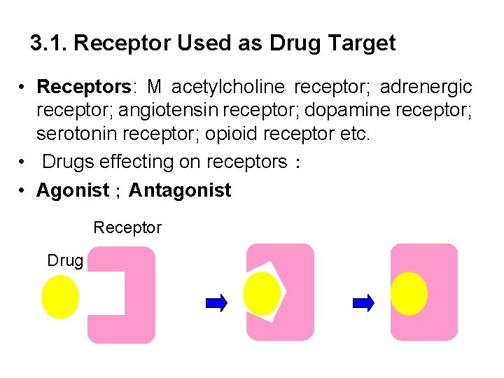 3. 1. Receptor Used as Drug Target • Receptors: M acetylcholine receptor; adrenergic receptor;