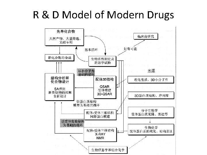 R & D Model of Modern Drugs 
