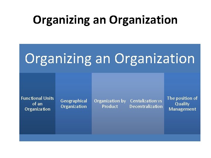 Organizing an Organization Functional Units of an Organization Geographical Organization by Centalization vs Product
