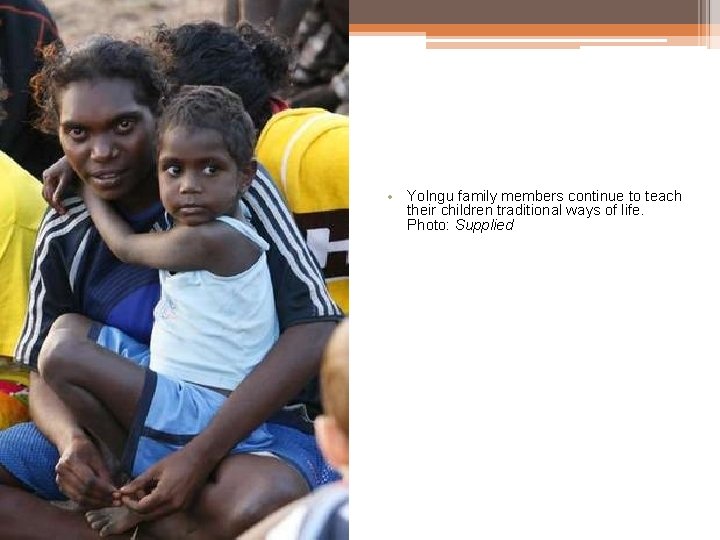 • Yolngu family members continue to teach their children traditional ways of life. • Yolngu family members continue to teach their children traditional ways of life.