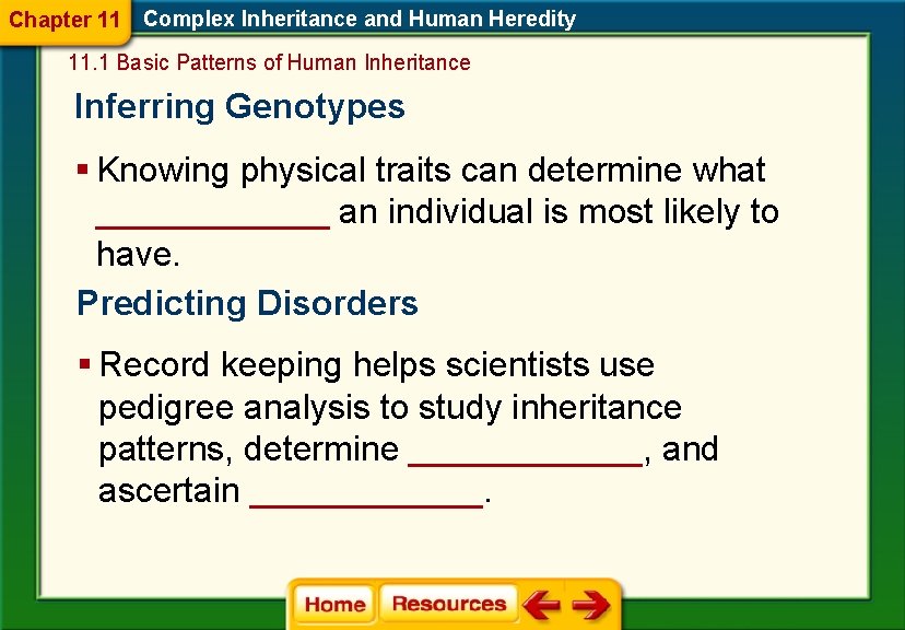 Chapter 11 Complex Inheritance and Human Heredity 11. 1 Basic Patterns of Human Inheritance