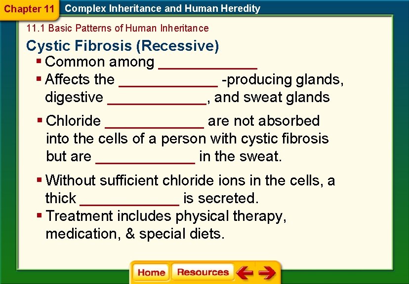 Chapter 11 Complex Inheritance and Human Heredity 11. 1 Basic Patterns of Human Inheritance