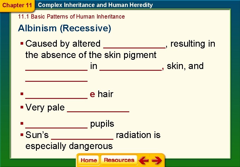 Chapter 11 Complex Inheritance and Human Heredity 11. 1 Basic Patterns of Human Inheritance