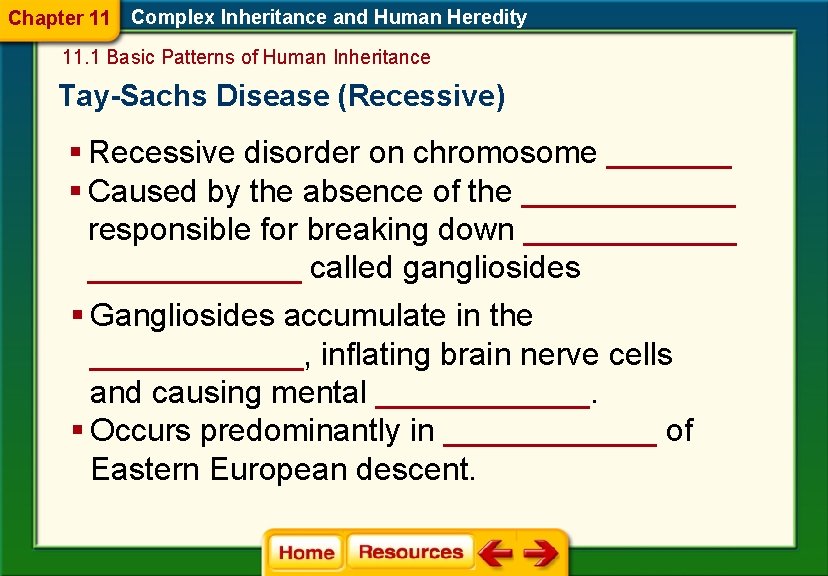 Chapter 11 Complex Inheritance and Human Heredity 11. 1 Basic Patterns of Human Inheritance