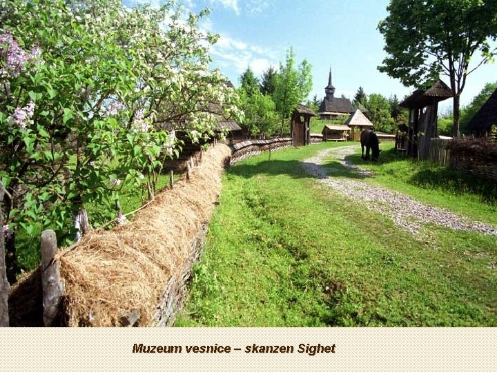 Muzeum vesnice – skanzen Sighet 