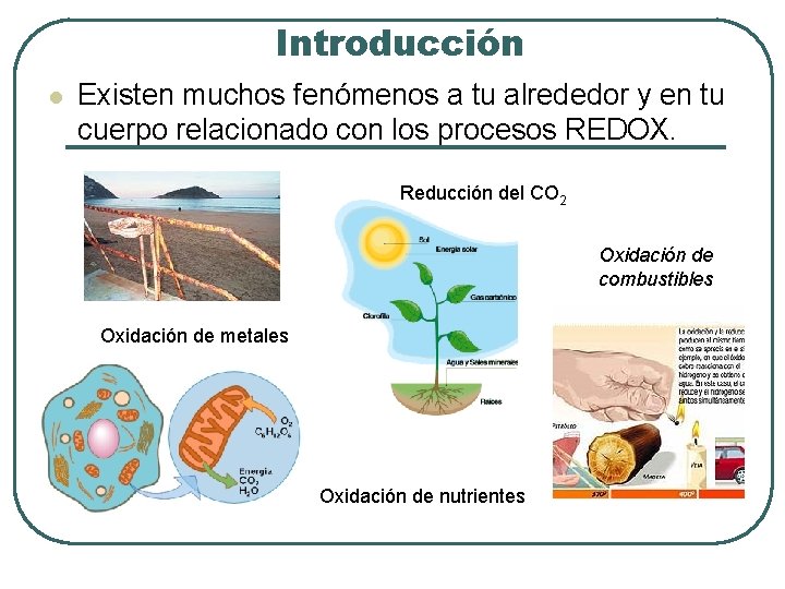 Introducción l Existen muchos fenómenos a tu alrededor y en tu cuerpo relacionado con