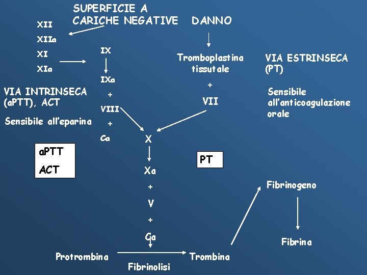 SUPERFICIE A CARICHE NEGATIVE XII DANNO XIIa IX XI XIa VIA INTRINSECA (a. PTT),