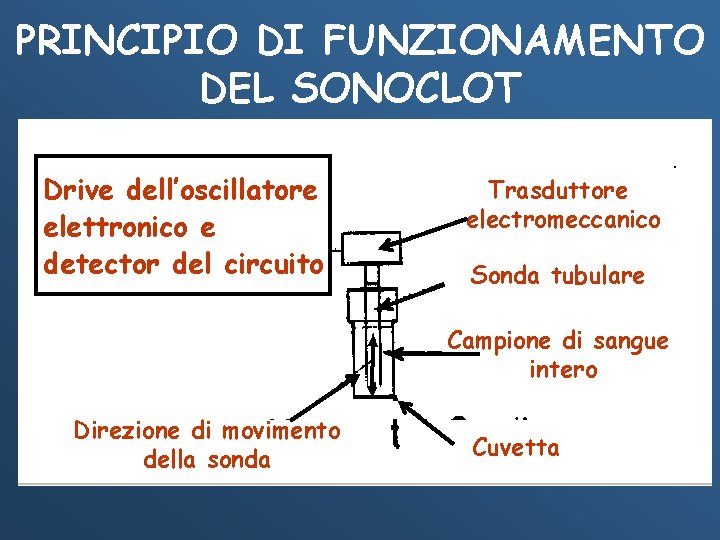PRINCIPIO DI FUNZIONAMENTO DEL SONOCLOT Drive dell’oscillatore elettronico e detector del circuito Trasduttore electromeccanico