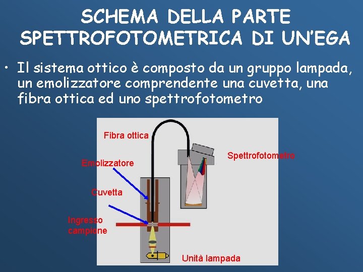 SCHEMA DELLA PARTE SPETTROFOTOMETRICA DI UN’EGA • Il sistema ottico è composto da un