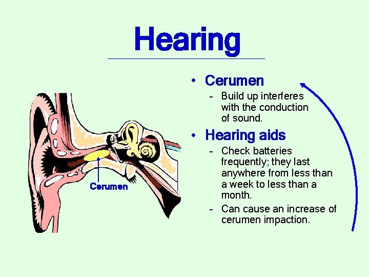 Hearing • Cerumen – Build up interferes with the conduction of sound. • Hearing