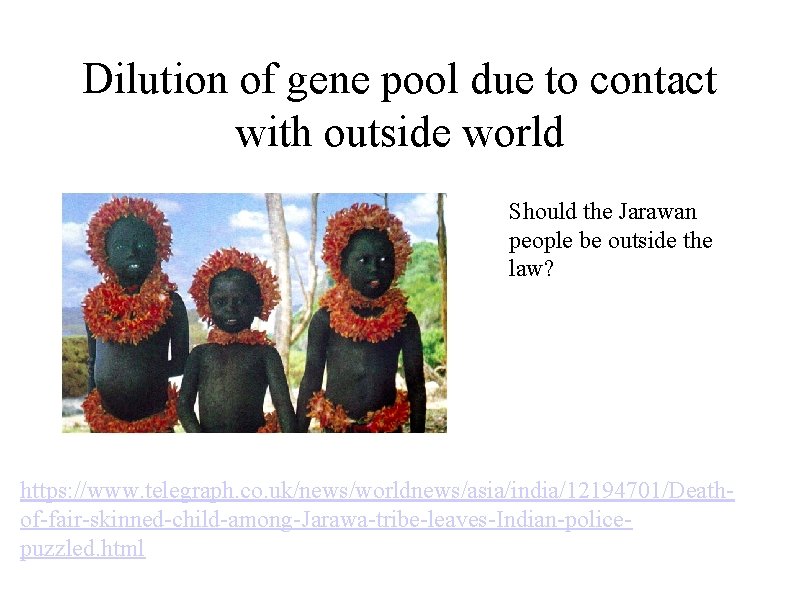 Dilution of gene pool due to contact with outside world Should the Jarawan people