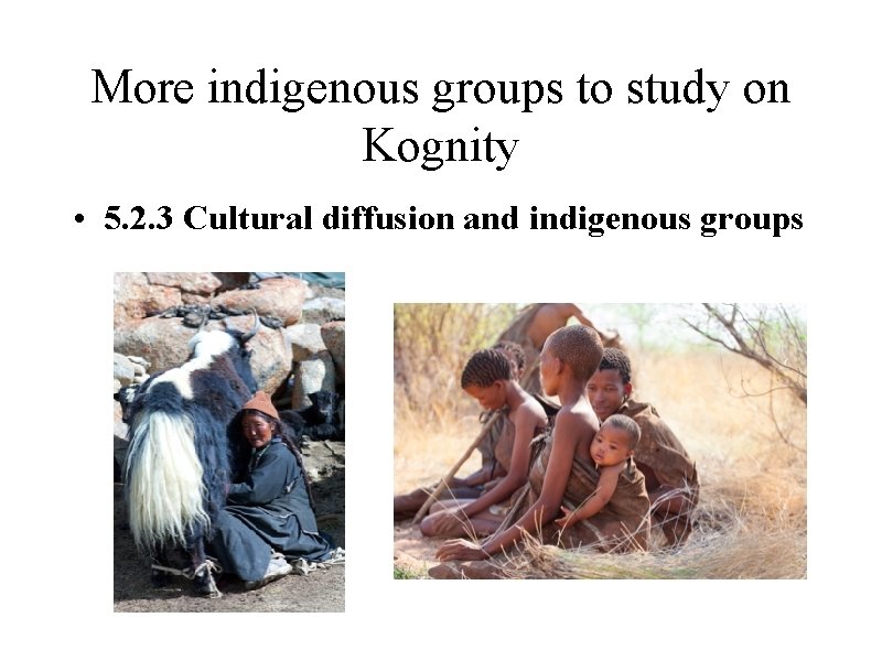 More indigenous groups to study on Kognity • 5. 2. 3 Cultural diffusion and