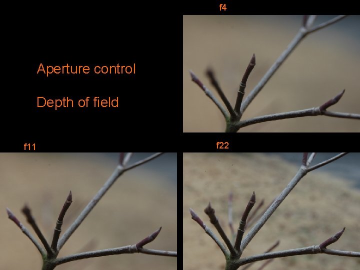 f 4 Aperture control Depth of field f 11 f 22 