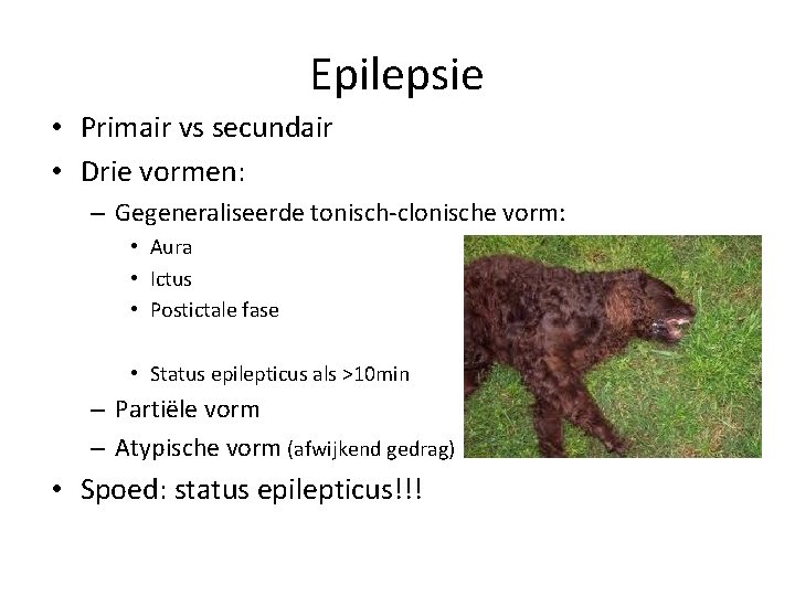 Epilepsie • Primair vs secundair • Drie vormen: – Gegeneraliseerde tonisch-clonische vorm: • Aura