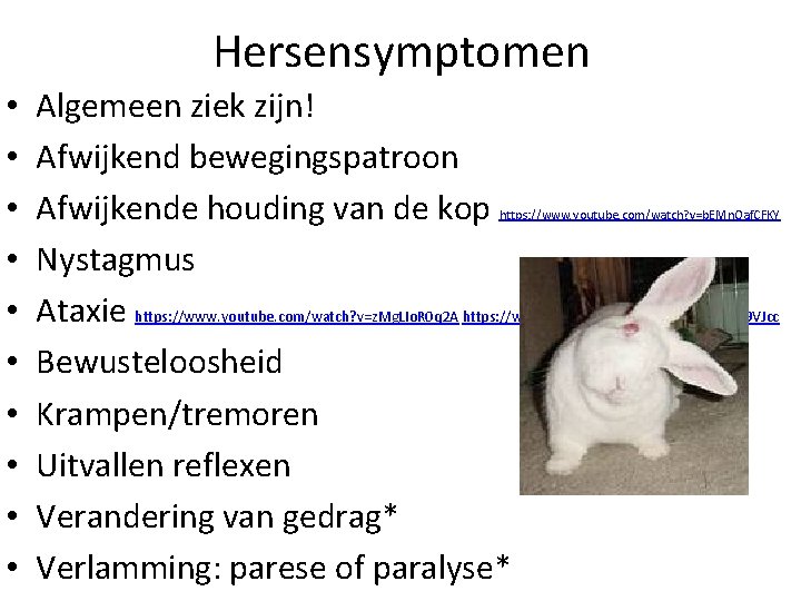 Hersensymptomen • • • Algemeen ziek zijn! Afwijkend bewegingspatroon Afwijkende houding van de kop