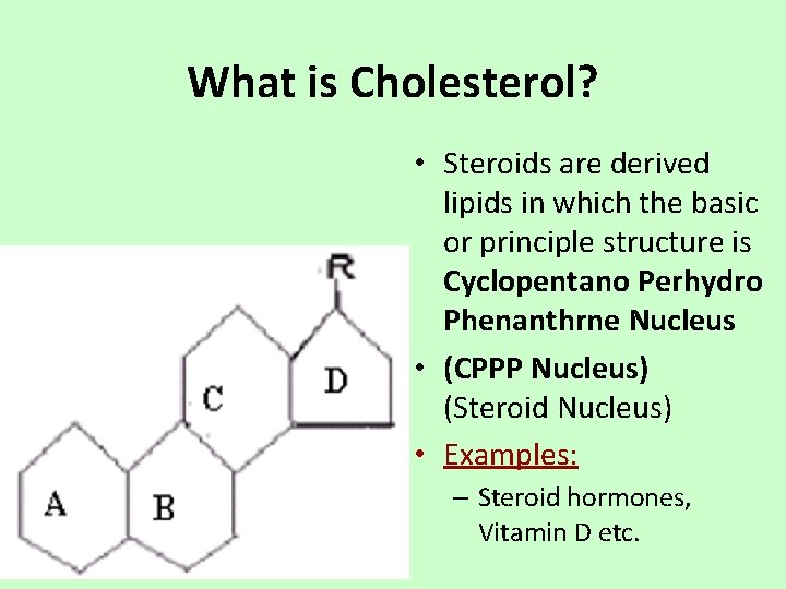 What is Cholesterol? • Steroids are derived lipids in which the basic or principle
