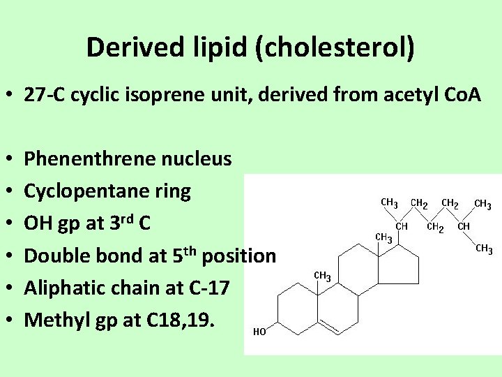 Derived lipid (cholesterol) • 27 -C cyclic isoprene unit, derived from acetyl Co. A