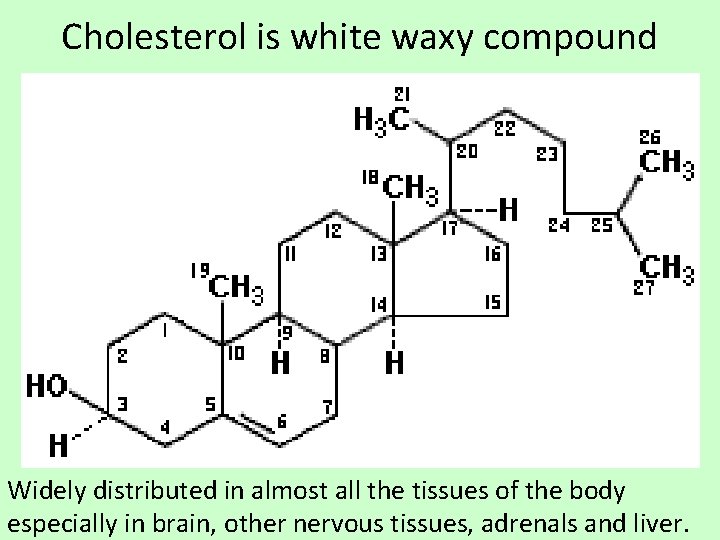 Cholesterol is white waxy compound Widely distributed in almost all the tissues of the