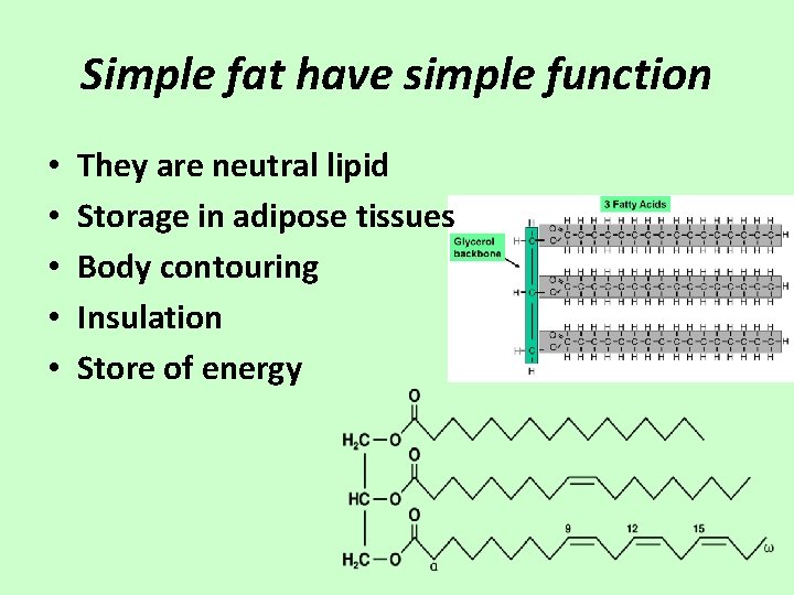 Simple fat have simple function • • • They are neutral lipid Storage in