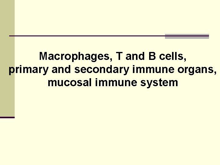 Macrophages, T and B cells, primary and secondary immune organs, mucosal immune system 