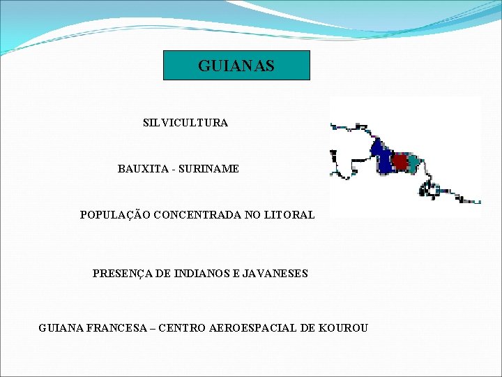 GUIANAS SILVICULTURA BAUXITA - SURINAME POPULAÇÃO CONCENTRADA NO LITORAL PRESENÇA DE INDIANOS E JAVANESES