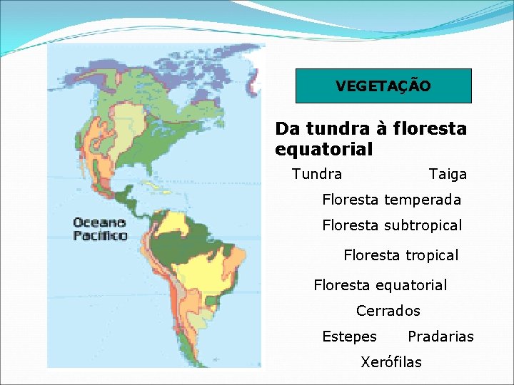 VEGETAÇÃO Da tundra à floresta equatorial Tundra Taiga Floresta temperada Floresta subtropical Floresta equatorial