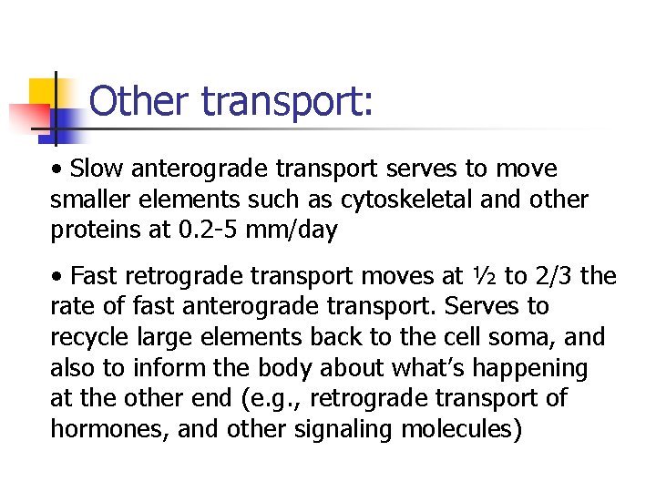 Other transport: • Slow anterograde transport serves to move smaller elements such as cytoskeletal